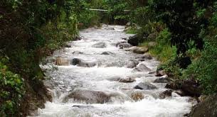 Armando Bermudez National Park 